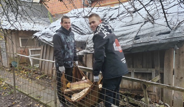 Помощь пожилым людям